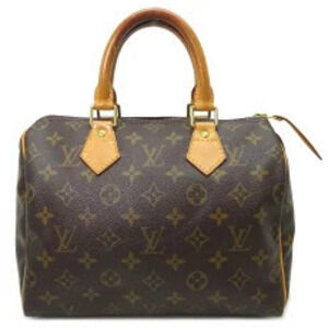 Louis Vuitton Speedy Monogram Handbag Brown